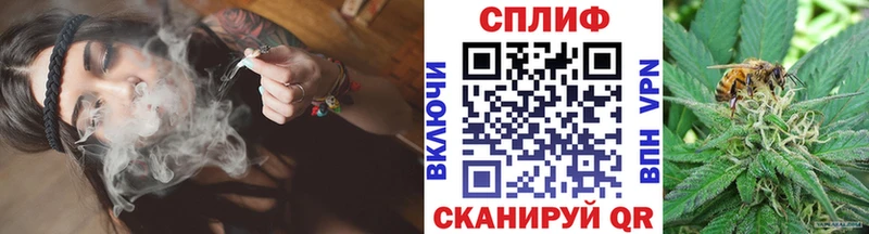 Марихуана сатива  Зеленоградск 